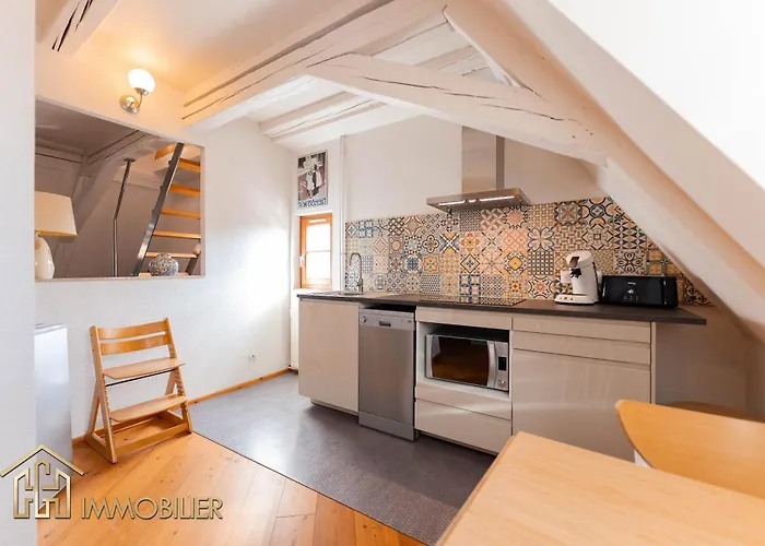 Au Bonheur Des Anges Duplex Apartamento Colmar