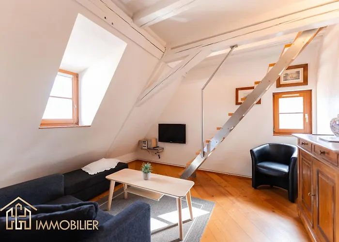 Апартаменты Au Bonheur Des Anges Duplex Кольмар